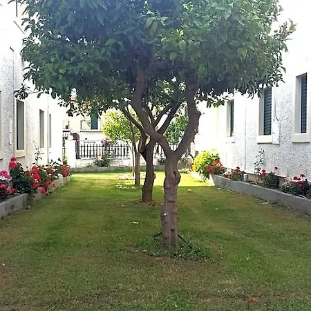 Corifo Village 3*
