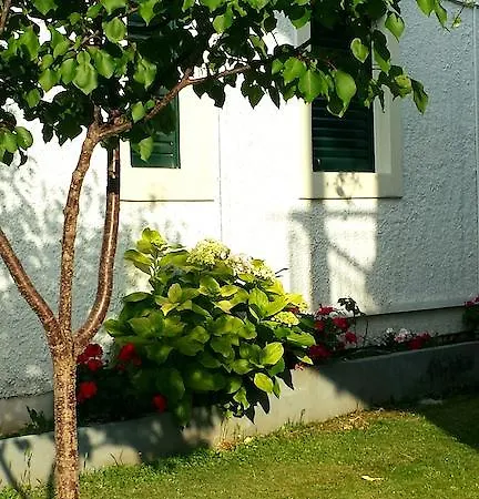 Apart Otel Corifo Village
